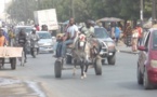 Code de la route : 35 charretiers formés à Mbour