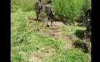 Djibidione (Bignona) : 03 jeunes tués et 03 autres blessés par drone
