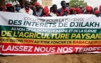 Affaire Ndingler : Les villageois dans la rue ce vendredi, contre Babacar Ngom…