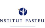 Ebola: l'Institut Pasteur se mobilise contre l'épidémie Ebola