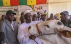 Journée de l’élevage: Les instructions fermes du président Macky Sall