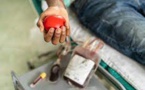 Accident de Kafrrine : Les populations invitées à donner de leur sang pour renforcer la banque