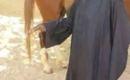Le Khalif général des Mourides Serigne Sidy Makhtar Mbacké chez lui avec son cheval