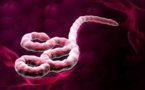 Ebola : l’état de santé du médecin sénégalais soigné en Allemagne est très "favorable" (ministre)