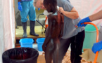 Les enseignants invités à intégrer la prévention contre Ebola à Vélingara