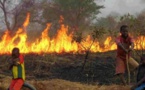 24 heures d’affilée de feu de brousse au Ranche de Dolly