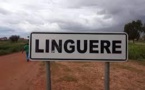 Linguère : la marche de PASTEF interdite