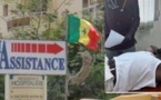 Le Dr El Hadji Mbagnick Ngom mis en liberté provisoire