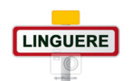 Linguère : Le centre hospitalier Maguette Lô sans sang !
