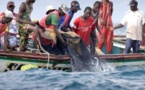 Mbour : Trois pêcheurs introuvables