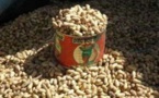 L'arachide sera achetée à 200 francs le kg aux producteurs (PR)