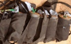 Bakel: 200 explosifs et 80 détonateurs saisis à la frontière entre le Sénégal et le Mali