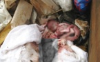 Keur Massar : Le corps sans vie d’un nouveau-né découvert !
