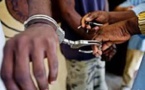 Sédhiou : 3 membres de Pastef arrêtés, 19 cocktails molotov saisis