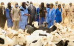 Tabaski 2023 : Amadou Ba annonce une mauvaise nouvelle pour les ménages à Dakar