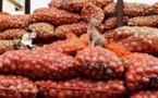 Importation de 10 000 t d'oignons : Les producteurs locaux fustigent la décision du gouvernement