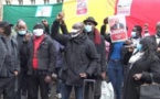 Manifestation : Les Sénégalais envahissent les locaux de la Cour pénale internationale (vidéo)