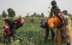Agriculture : Les femmes rurales se mobilisent