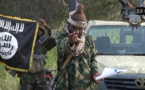 Le premier raid de Boko Haram au Tchad fait au moins cinq morts
