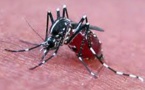 L’épidémie de Chikungunya s’est propagée, l’alerte du Dr Ababacar Mbaye : « Il y a des cas à Dakar »