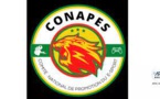 E-basketball : le CONAPES sélectionne ses e-Gaïndés, samedi