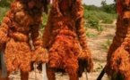 Kédougou : le tueur du «kankourang» arrêté