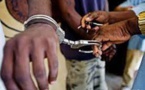 Ziguinchor : 35 personnes arrêtées par la police dans le cadre d’une opération