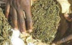 Yenne: 5 dealers tombent avec 4 kg de drogue
