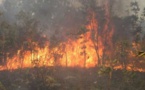 Ranch de Dolly: un feu de brousse ravage plus de 15 hectares