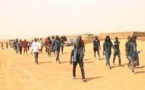 Sénégalais bloqués dans le désert du Niger : Horizon sans frontières interpelle le chef de l’État