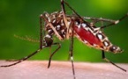 Alerte Dengue à Pikine : 57 cas enregistrés entre août et octobre