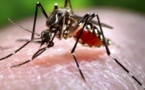 Burkina: plus de 350 morts de la dengue en un mois