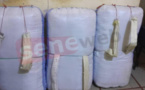 Karang : L'OCRTIS de Kaolack intercepte 124 kg de drogue, les dealers en fuite