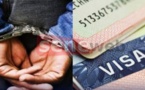 Escroquerie au visa : un opérateur économique arrêté