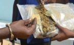 Popenguine: La gendarmerie intercepte 270 kg de drogue, les dealers en fuite