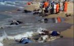 Emigration clandestine : Plus de 200 Sénégalais morts à la Méditerranée