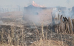 Tamba : Un incendie ravage l'économie des habitants de Saré Sidy