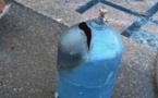 Explosion d’une bonbonne de gaz à Liberté 6 Barak : 4 blessés dans un état grave, dont une femme enceinte