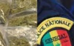 Kébémer : 3 voyageurs arrêtés avec 4 kg de drogue dans un bus