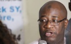 Loi d'amnistie : Birahime Seck épingle la posture des députés de l'ex-Pastef