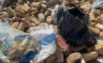 Lutte contre le trafic illicite : plusieurs produits prohibés saisis par les services des Douanes