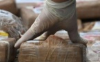 Trafic de drogue : Saisie record de 1137,6 kg de cocaïne à Kidira