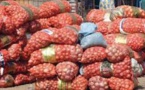 Surproduction d'oignons et de pomme de terre: Les producteurs de la zone des Niayes interpellent le ministre de l'agriculture