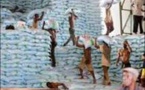 Mauvaises conditions de travail : Les dockers du Port autonome de Dakar crient leur ras-le-bol et alertent sur leur situation