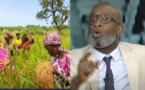Distribution des Semences : « Il y avait une mafia, un véritable marché noir… »,Bouba Ndour