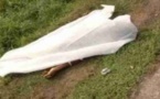 Un jeune poignardé à mort lors d'une soirée dansante