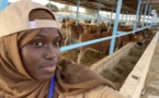 Corruption présumée de policiers : comment la fille de Mansour Faye a été arrêtée puis relâchée