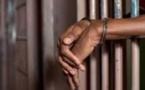 Fabrication de faux billets : Ibrahima Samoura risque 6 mois de prison