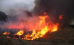 Le département de Linguère enregistre son premier cas de feu de brousse