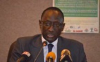 L’Agence Nationale des Energies Renouvelables ambitionne d’installer 50 000 lampadaires au Sénégal